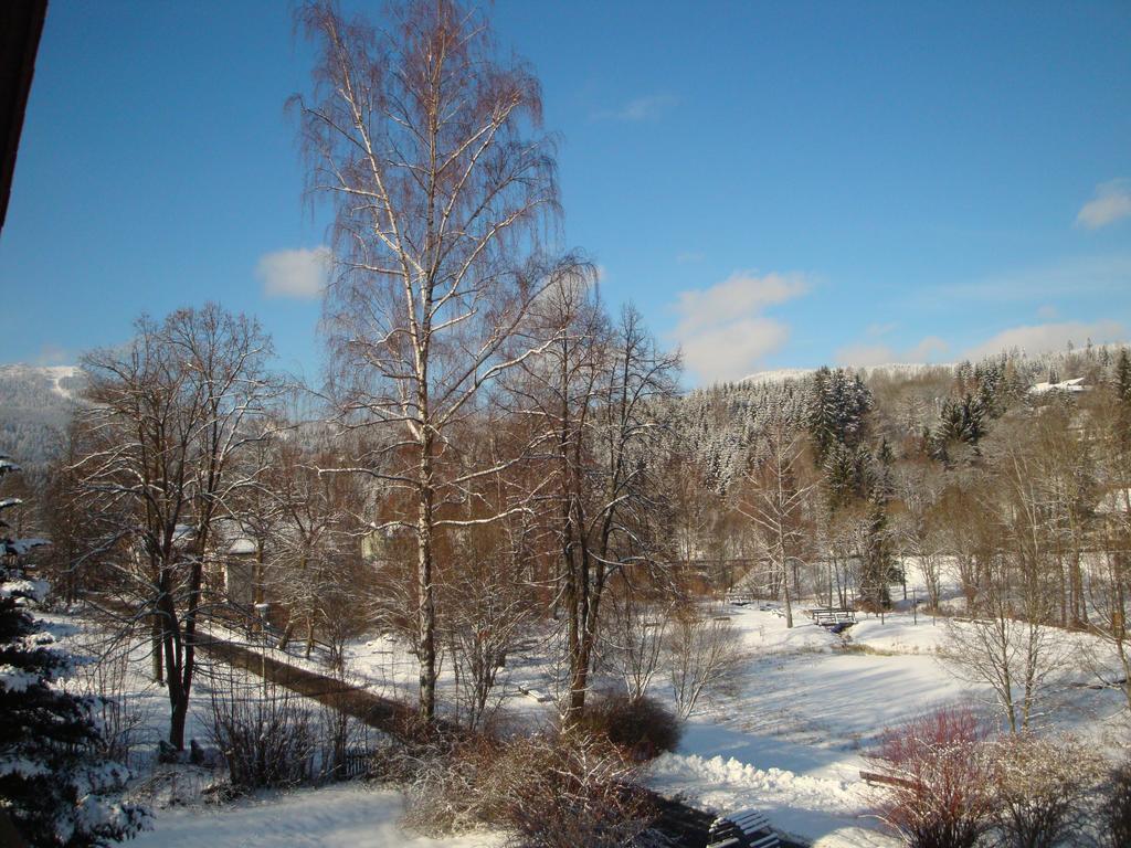 Apartments Josef Seitz Bayerisch Eisenstein Buitenkant foto